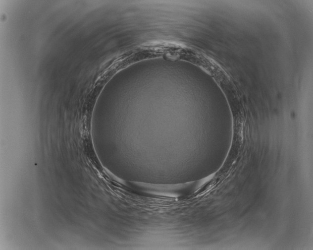 X0000086220965200703291207
