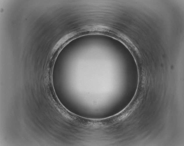 X0000086220978200703291207