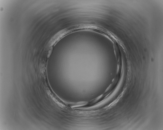 X0000086220985200703291207
