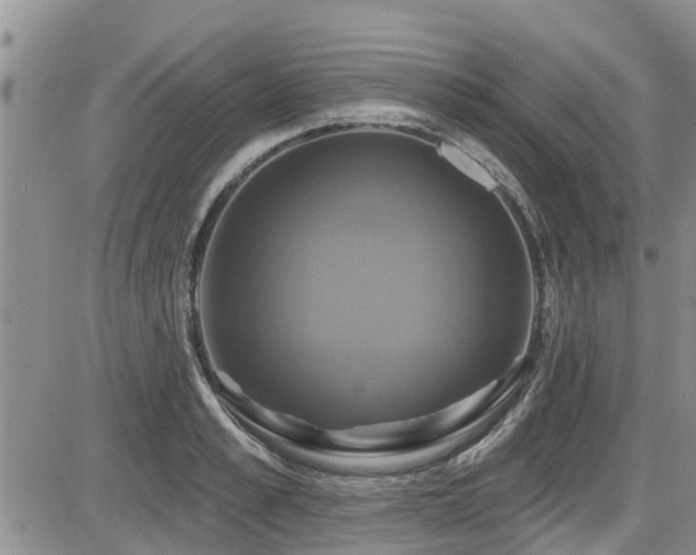 X0000086220989200703291207