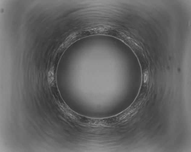 X0000086221011200703291206