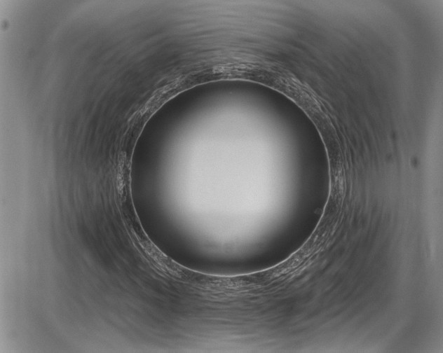 X0000086221012200703291206