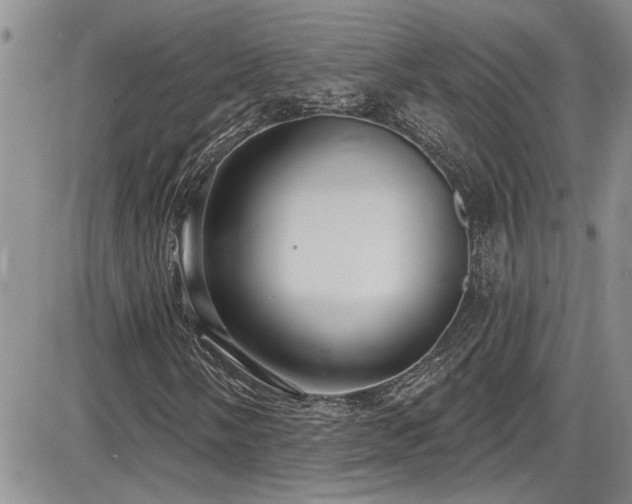 X0000086221058200703291206
