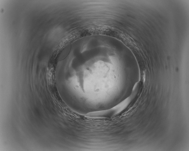 X0000086221059200703291206