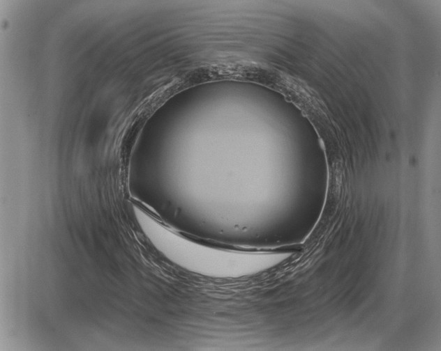 X0000086221060200703291206