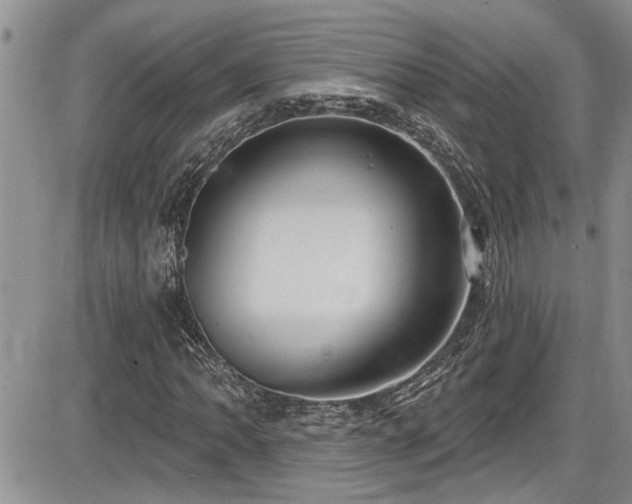 X0000086221062200703291206