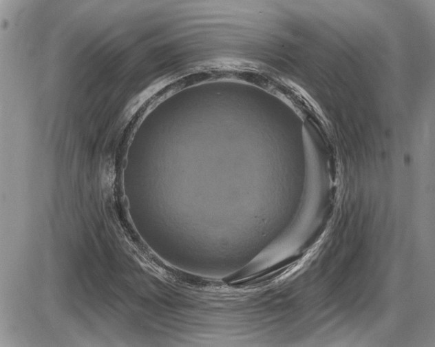 X0000086221065200703291206