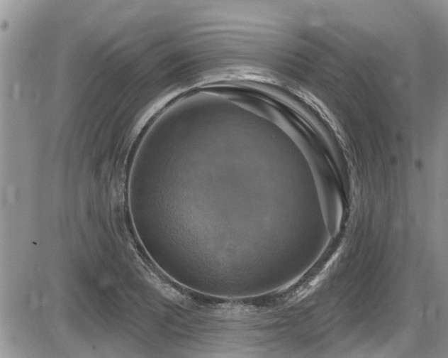 X0000086221081200703291205