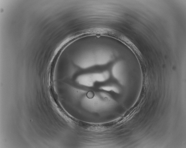 X0000086221083200703291205