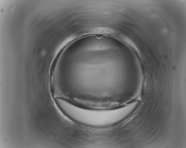X0000086221087200703291205