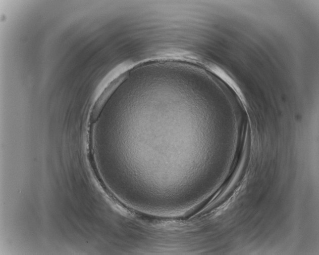 X0000086221093200703291205