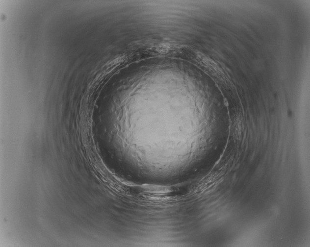 X0000086221105200703291204