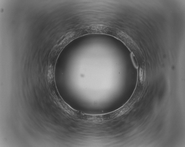 X0000086221107200703291204