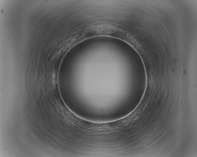 X0000086221108200703291204