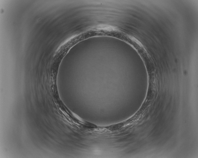 X0000086221112200703291204