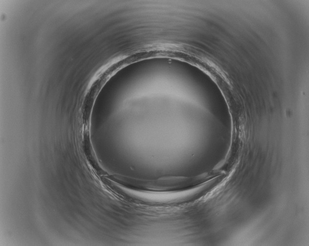 X0000086221117200703291204