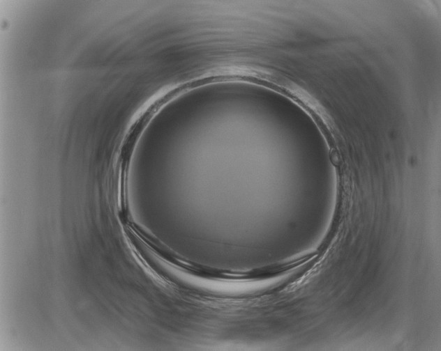 X0000086221127200703291205