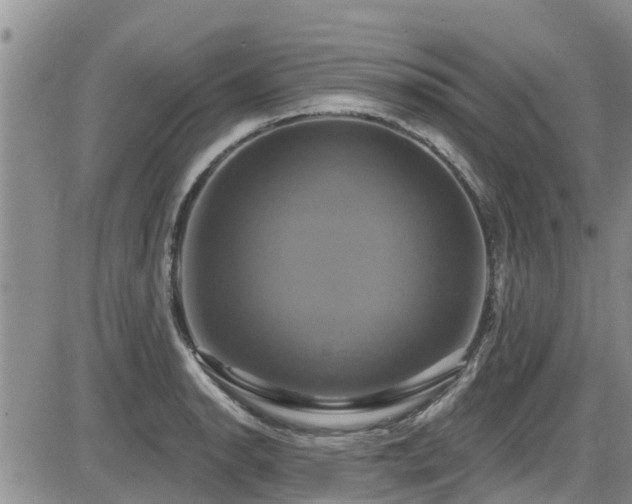 X0000086221134200703291205