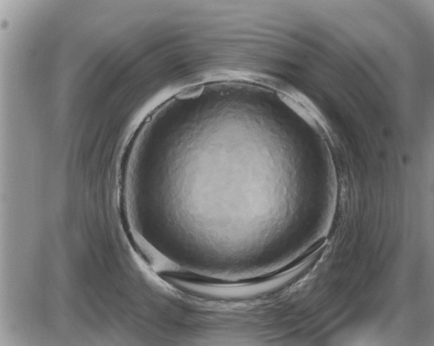X0000086221143200703291205