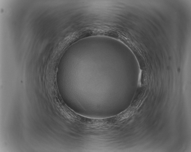 X0000086221153200703291204
