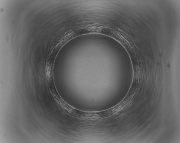 X0000086221154200703291204