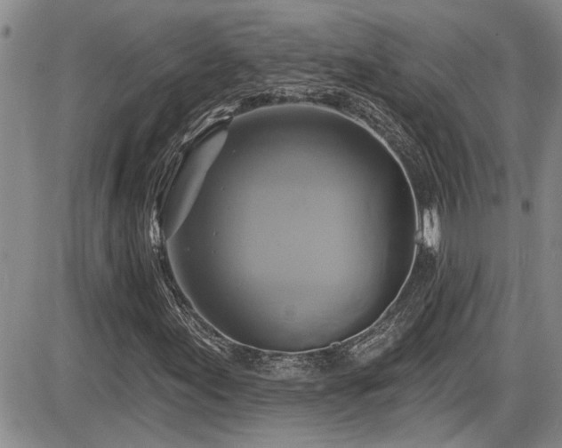 X0000086221155200703291204