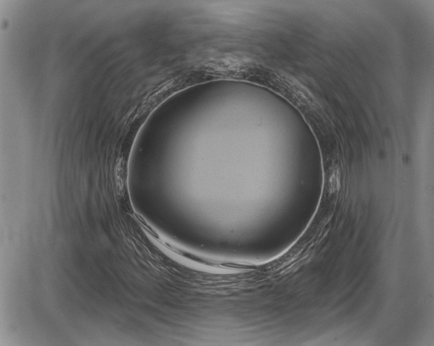 X0000086221156200703291204