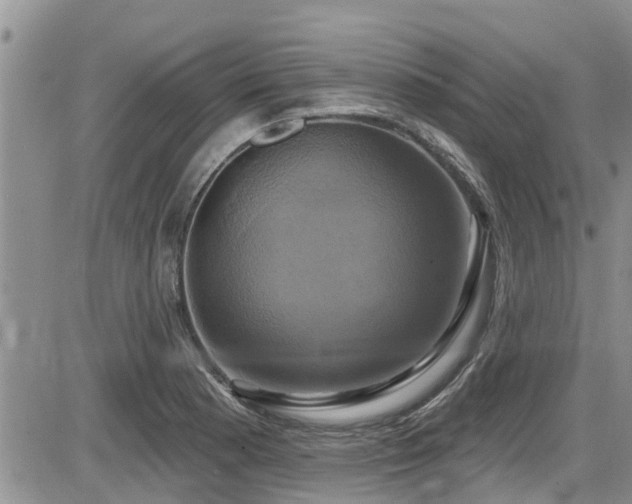 X0000086221177200703291204