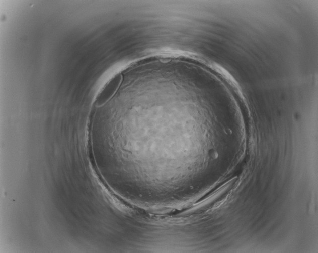 X0000086221183200703291204
