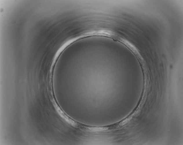 X0000086221200200703291203
