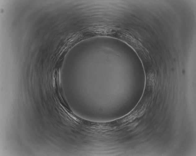 X0000086221202200703291203