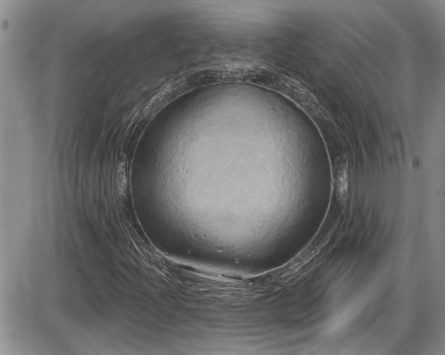 X0000086221204200703291203