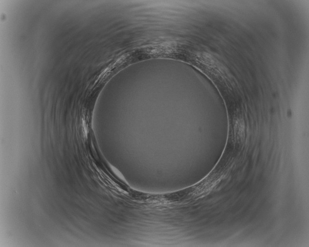 X0000086221250200703291203
