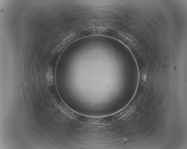 X0000086221252200703291203