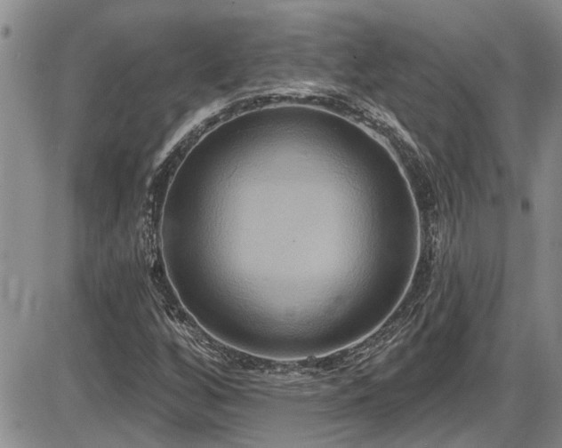 X0000086221256200703291203