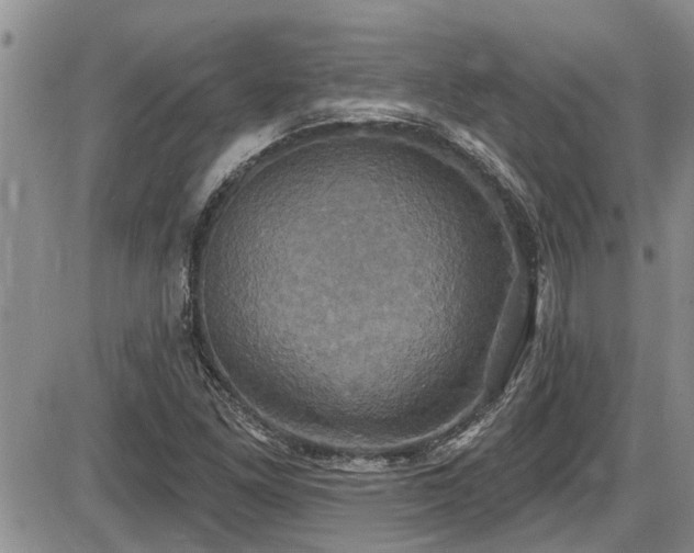 X0000086221261200703291202