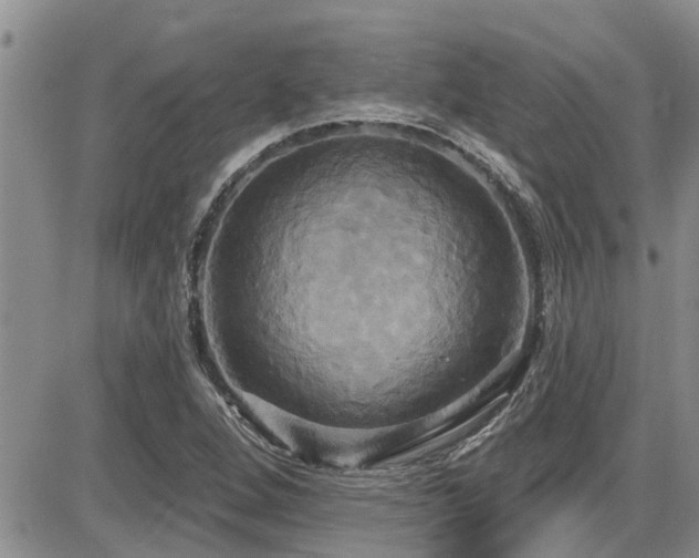 X0000086221264200703291202