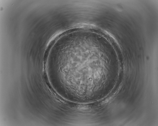 X0000086221267200703291202
