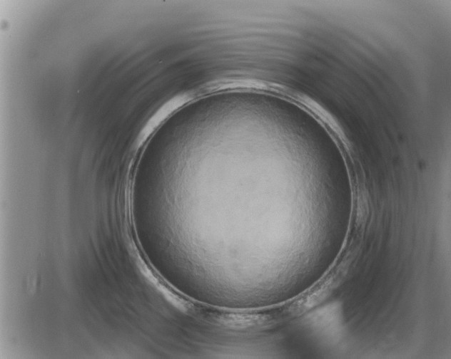 X0000086221290200703291202
