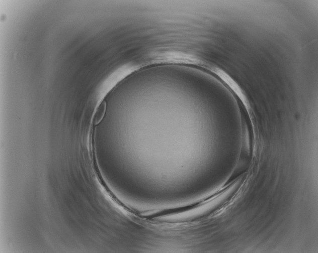 X0000086221293200703291202