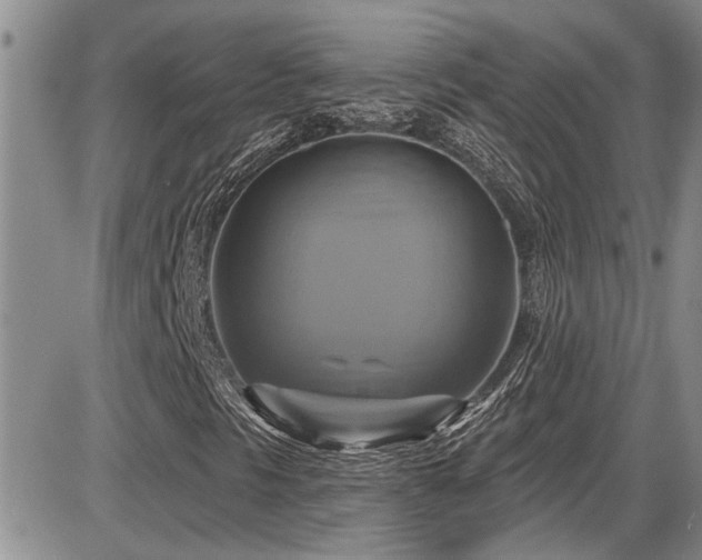 X0000086221297200703291201