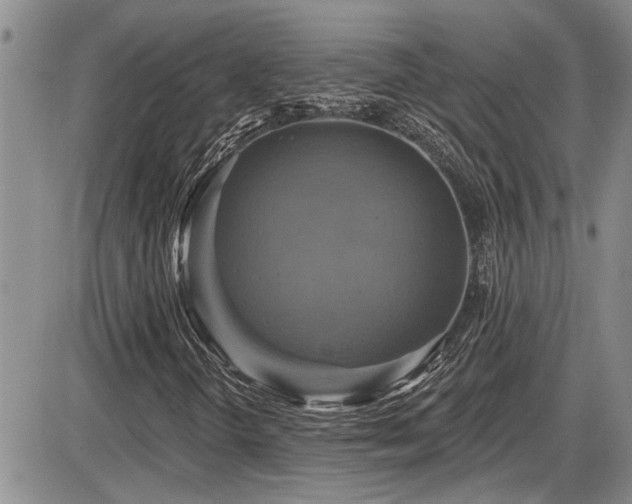 X0000086221298200703291201