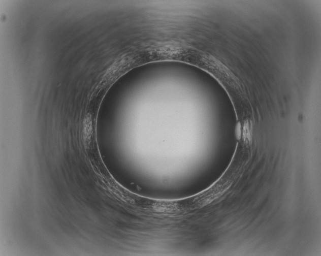 X0000086221299200703291201