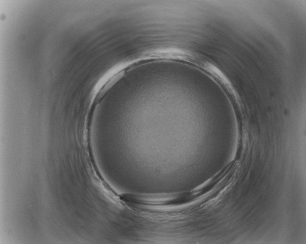 X0000086221336200703291202