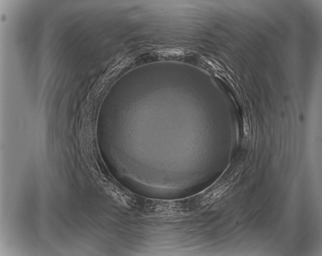 X0000086221345200703291201