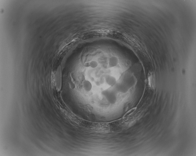X0000086221347200703291201