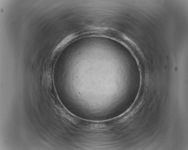 X0000086221354200703291201