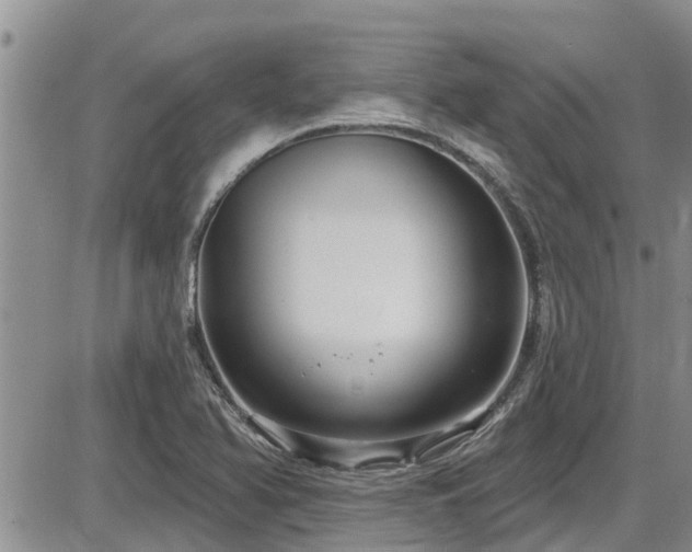 X0000086221366200703291201