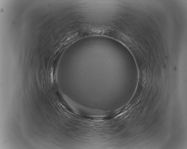 X0000086221394200703291159