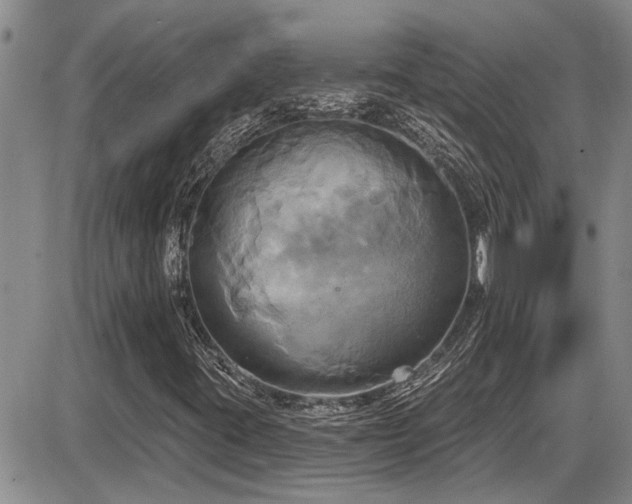 X0000086221395200703291159